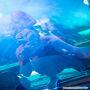 20160722_22-27-23_IMG_0657